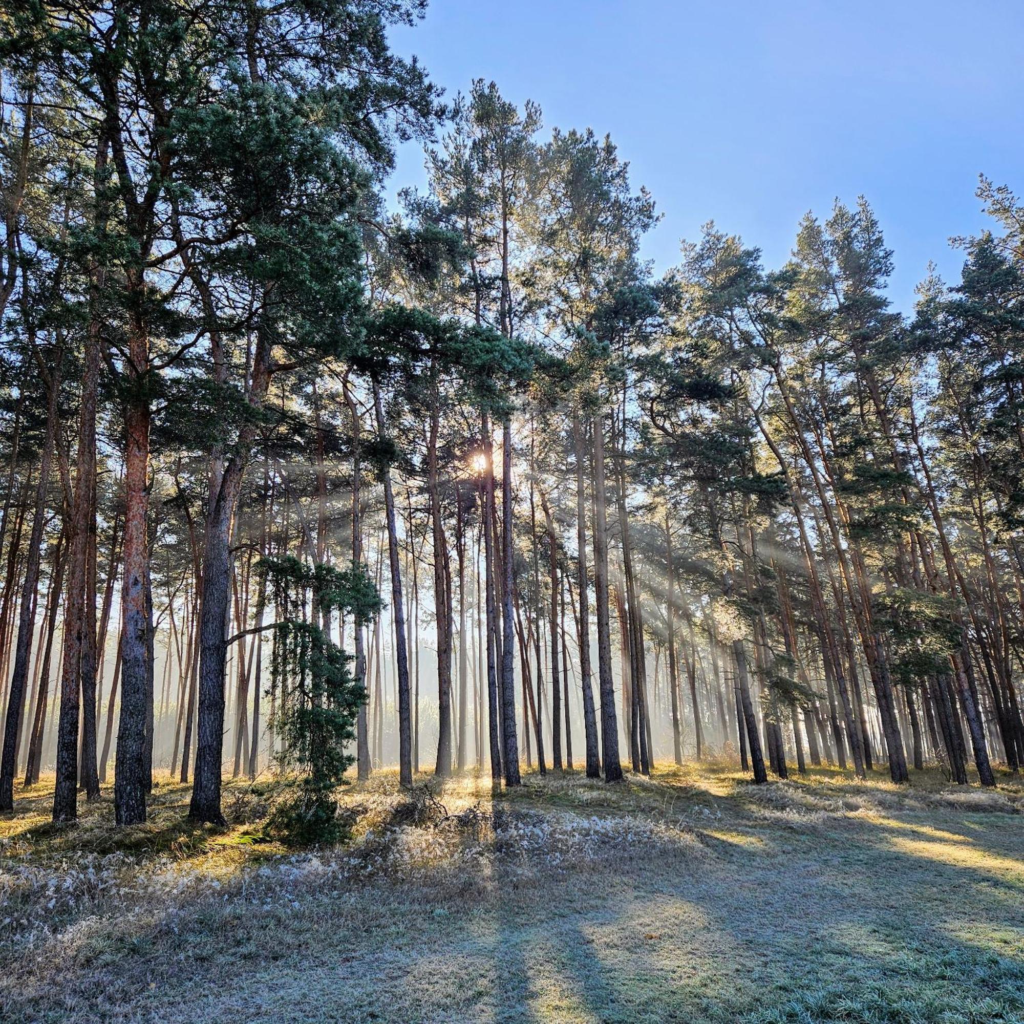 Отель Landgut Voigtsmuehle Friedland  Экстерьер фото